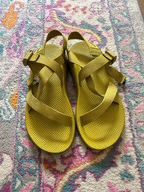 Men’s Z/1 Golden Olive Chacos size 12